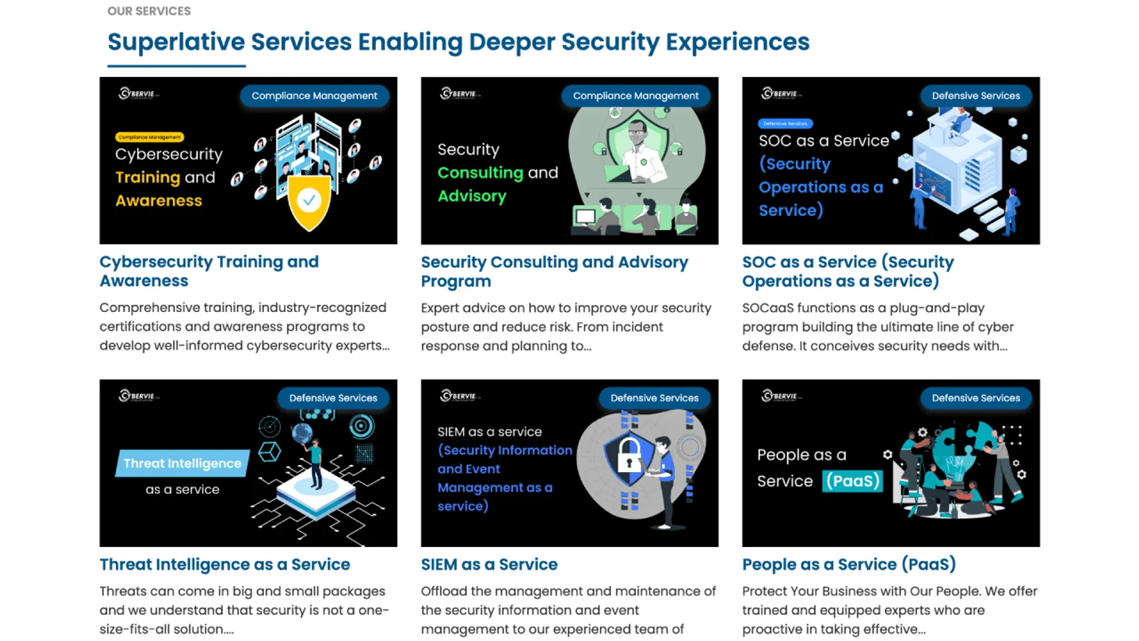 CyberVie WordPress Website screenshot 3